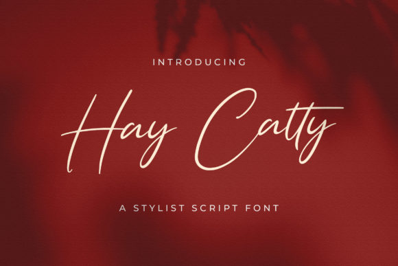 Hay Catty Script Font for Elegant Branding and Wedding Designs